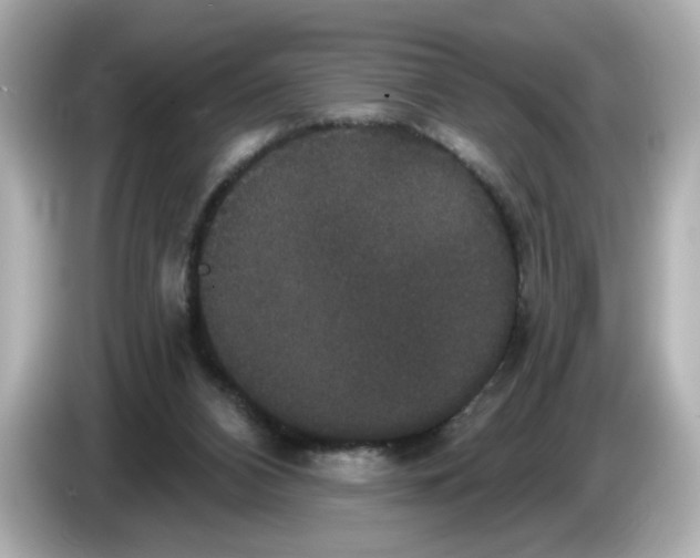 X0000085760112200704091342