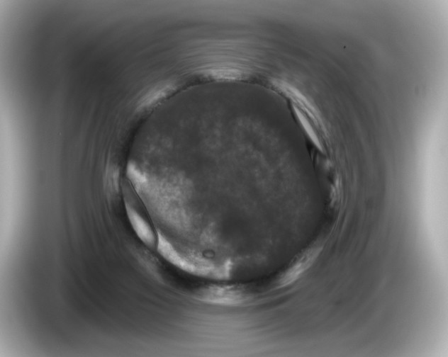 X0000085760117200704091341