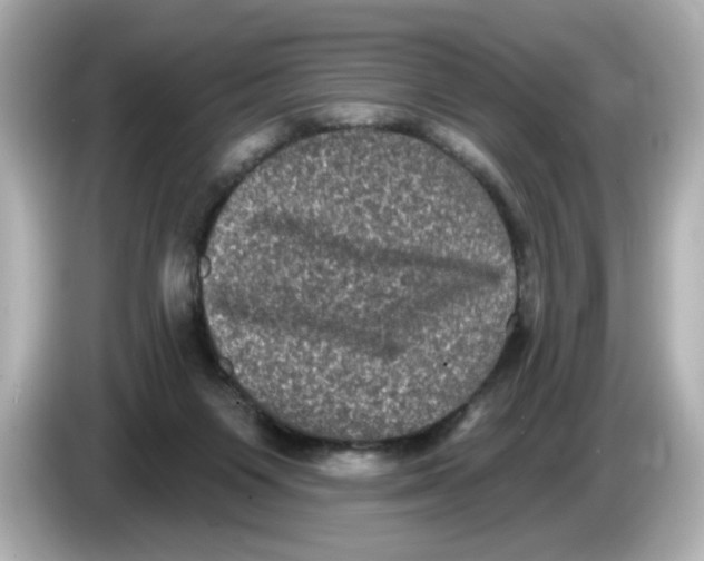 X0000085760119200704091341