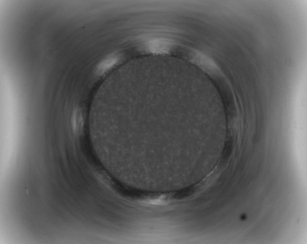 X0000085760120200704091341