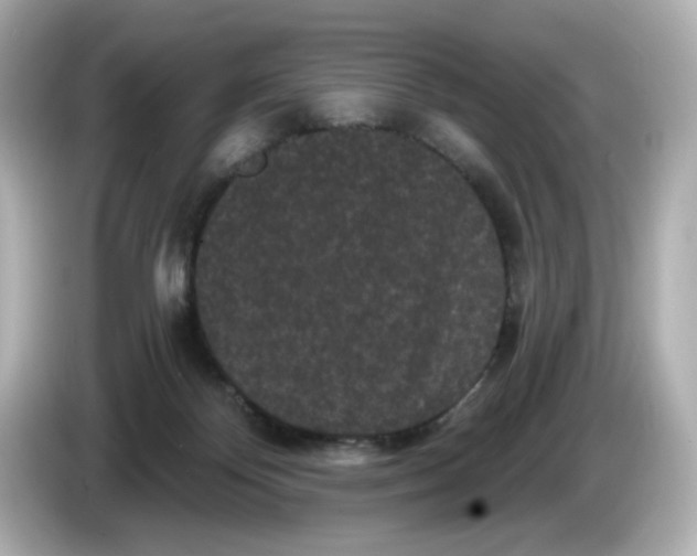 X0000085760124200704091341