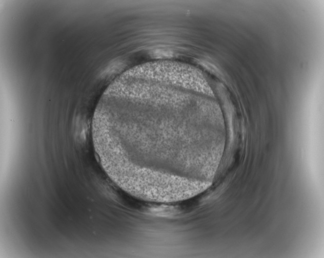X0000085760125200704091341