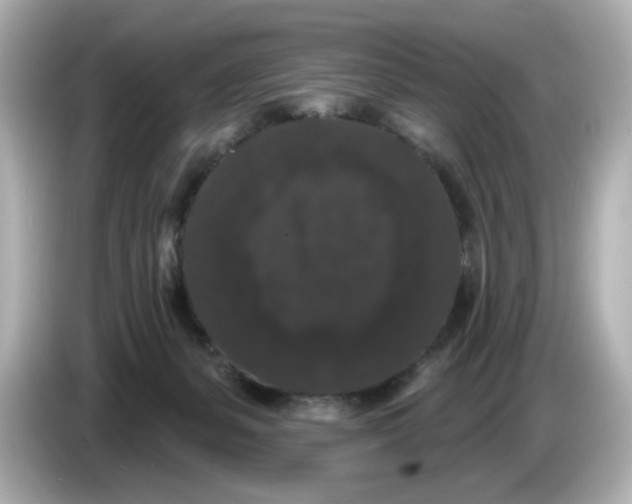 X0000085760127200704091341