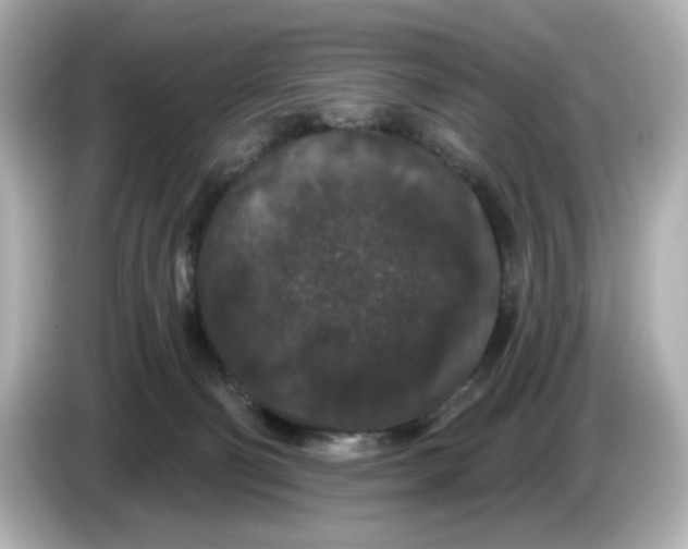 X0000085760130200704091341