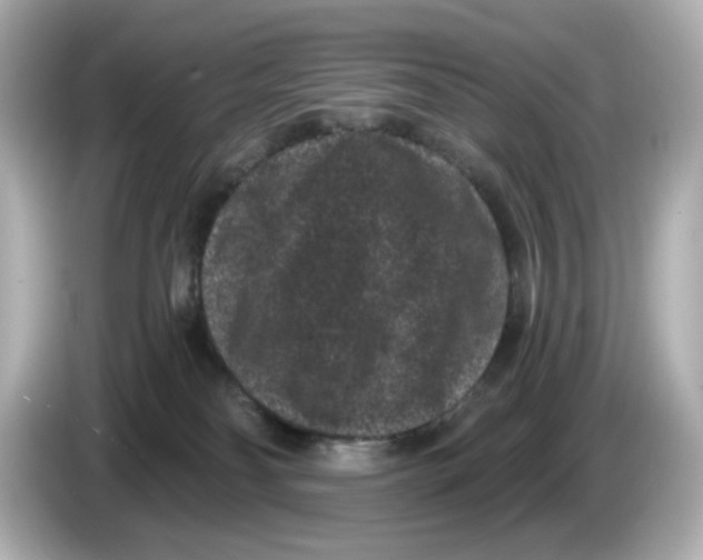X0000085760134200704091341