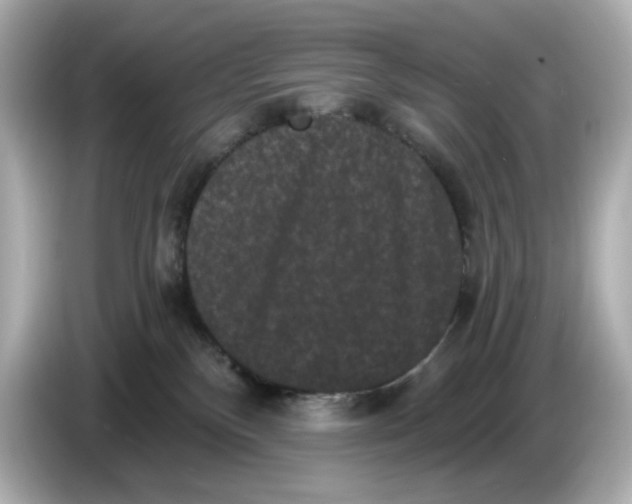 X0000085760136200704091341