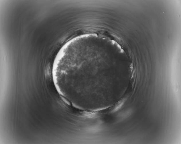 X0000085760143200704091341