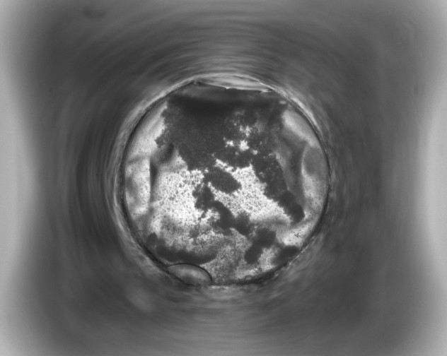 X0000085760145200704091341