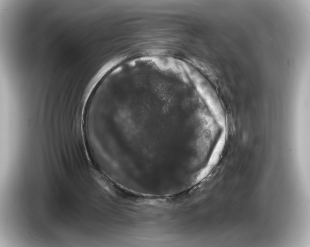 X0000085760147200704091341