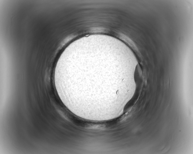 X0000085760155200704091341