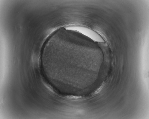 X0000085760156200704091341