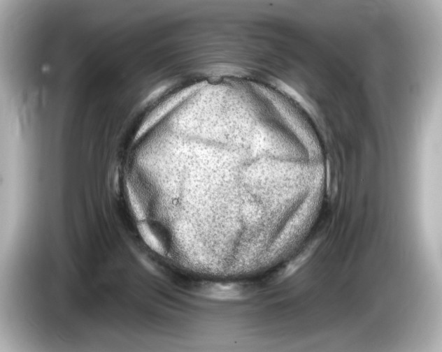X0000085760157200704091341