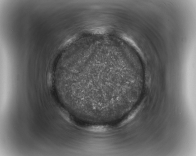 X0000085760161200704091341