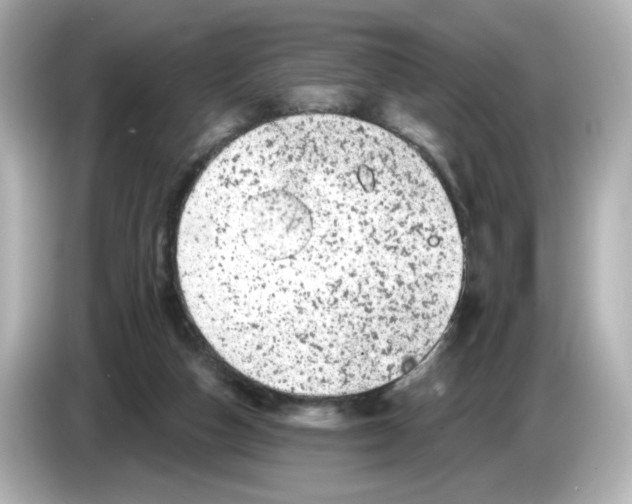 X0000085760162200704091341