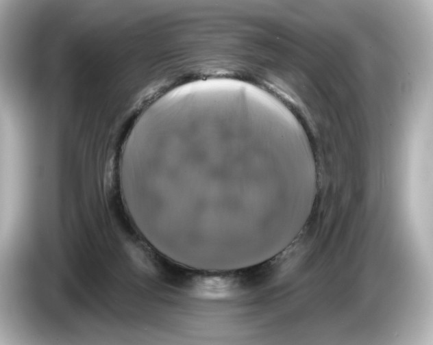 X0000085760163200704091341
