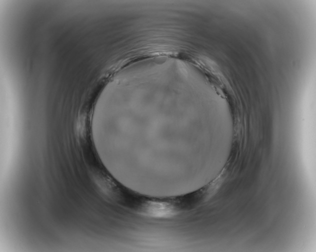 X0000085760167200704091341