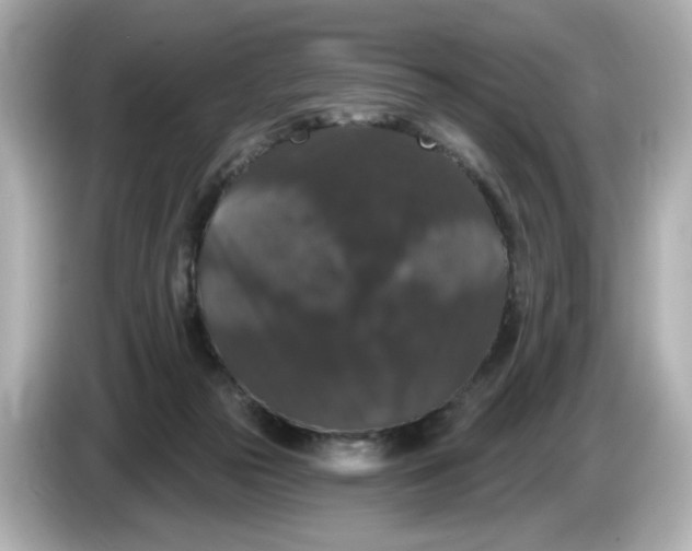 X0000085760169200704091341
