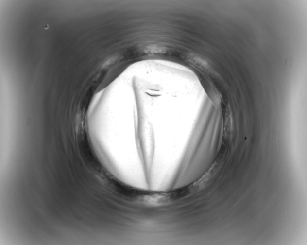 X0000085760172200704091341
