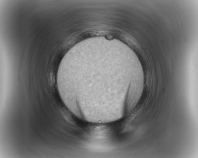 X0000085760173200704091341