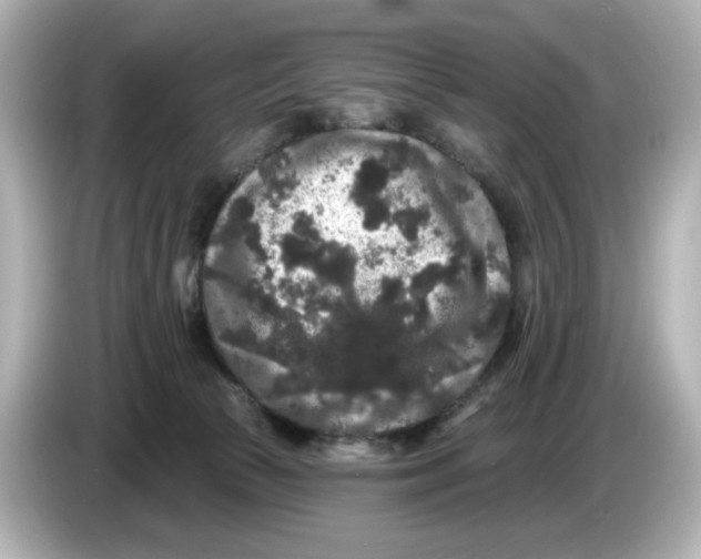 X0000085760177200704091341