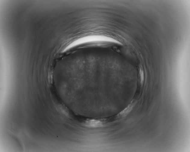 X0000085760180200704091341