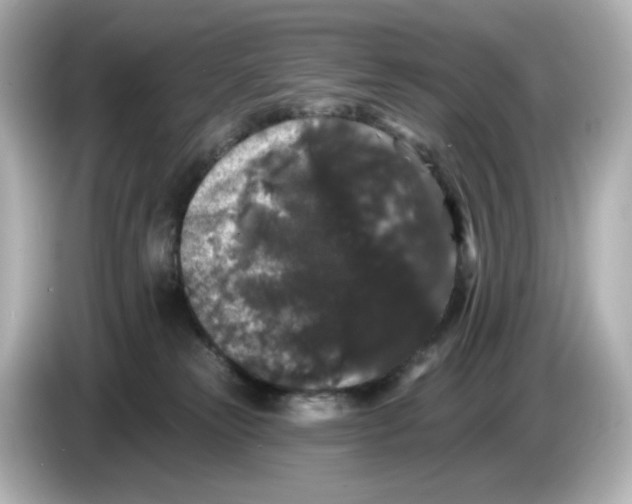 X0000085760181200704091341