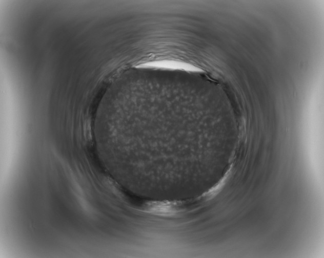 X0000085760182200704091341