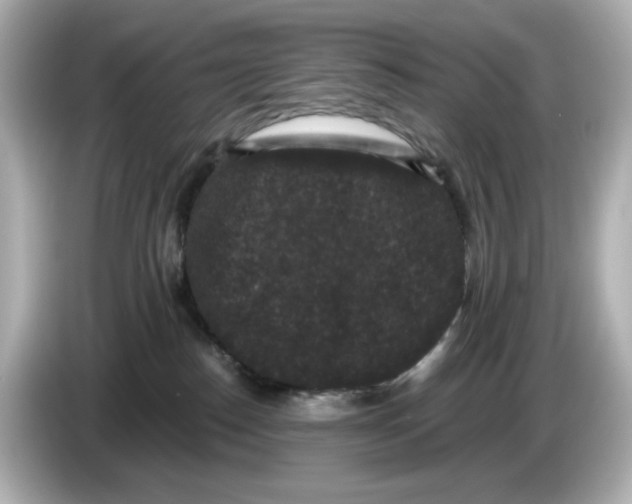 X0000085760186200704091341