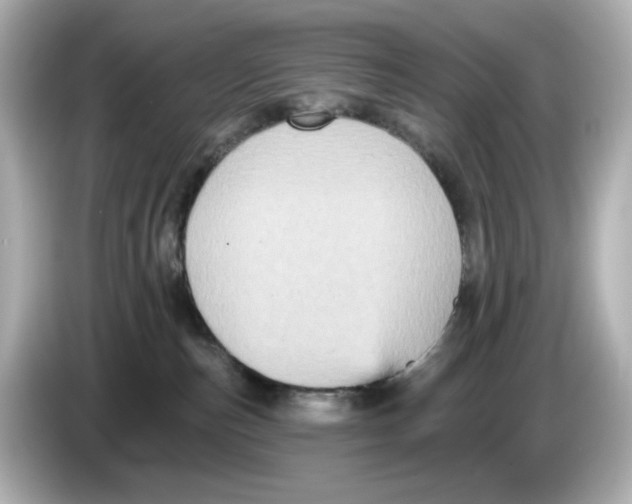 X0000085760187200704091341