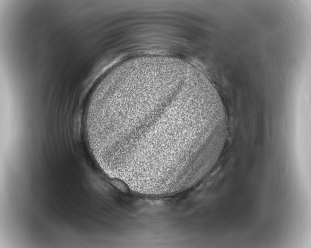 X0000085760194200704091341
