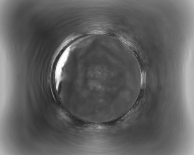X0000085760195200704091341