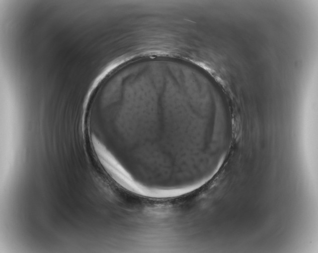 X0000085760196200704091341