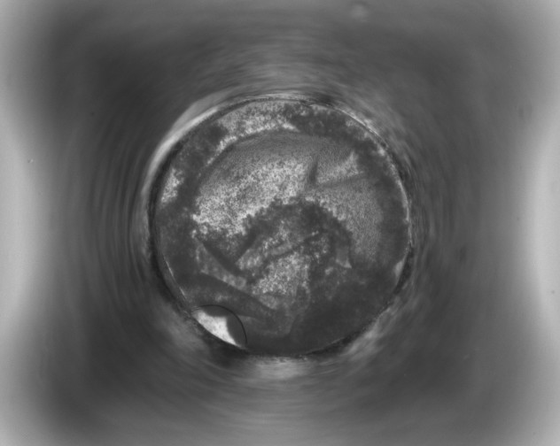 X0000085760198200704091341