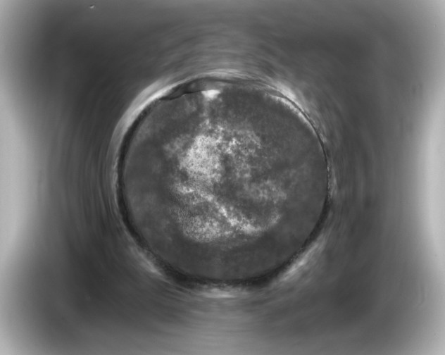 X0000085760199200704091341