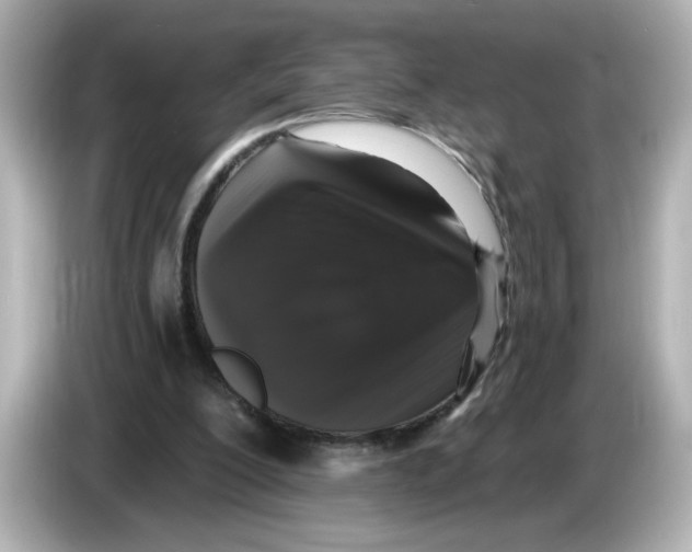 X0000085760200200704091341