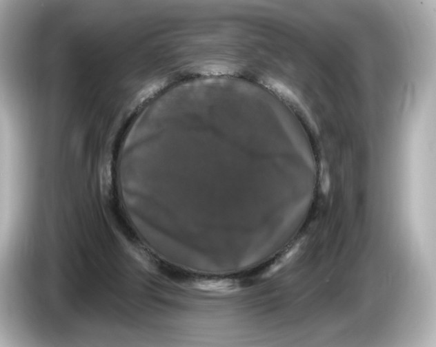 X0000085760202200704091341