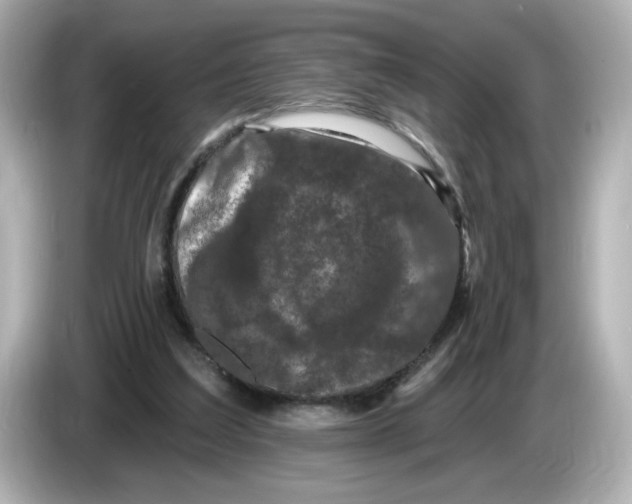 X0000085760203200704091340