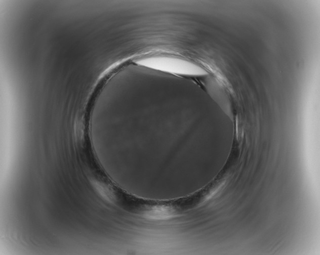 X0000085760204200704091340