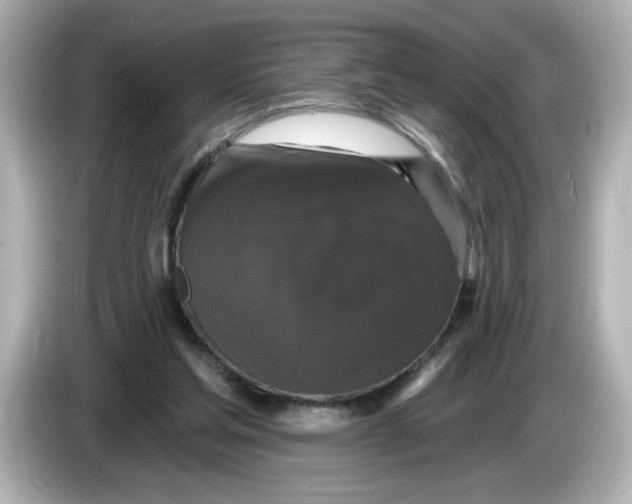 X0000085760205200704091340