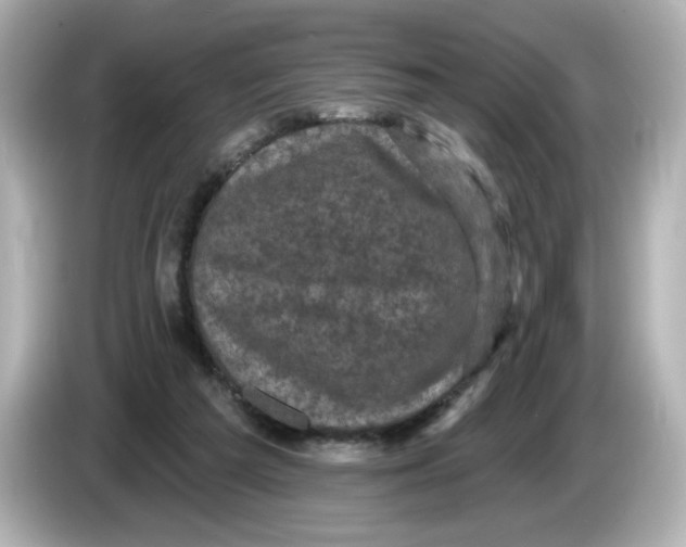 X0000085760209200704091340
