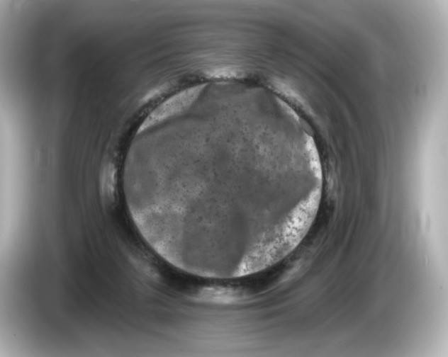 X0000085760211200704091340
