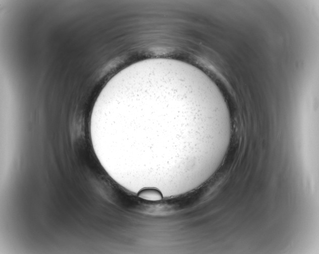 X0000085760212200704091340