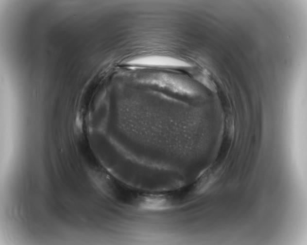 X0000085760214200704091340