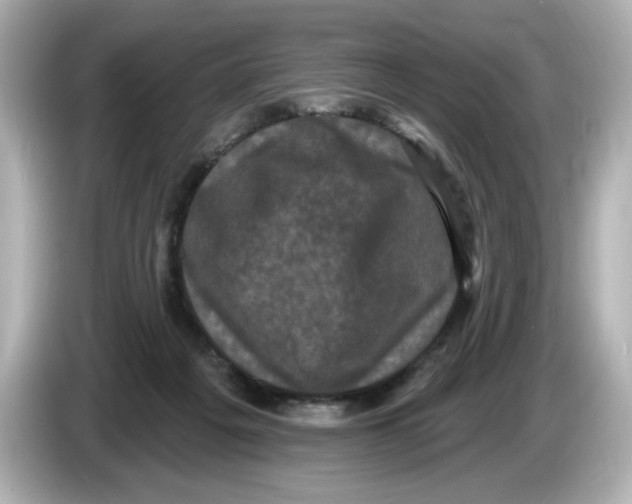 X0000085760217200704091340