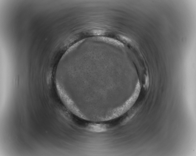 X0000085760221200704091340