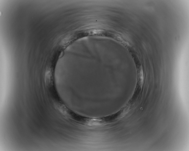 X0000085760222200704091340