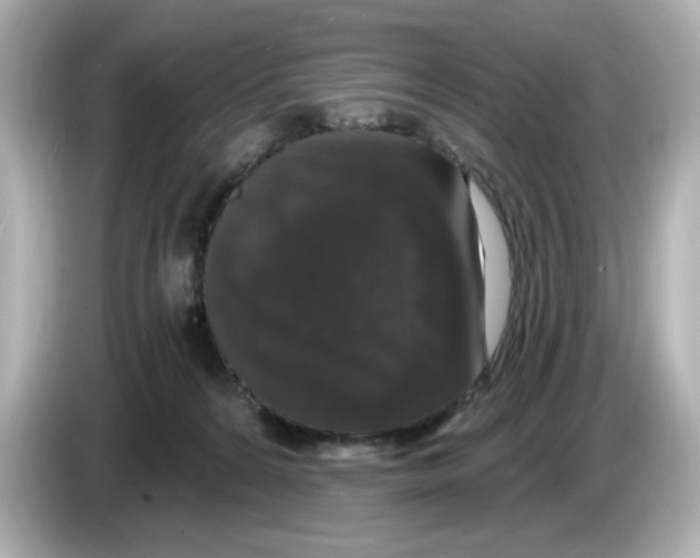 X0000085760224200704091340
