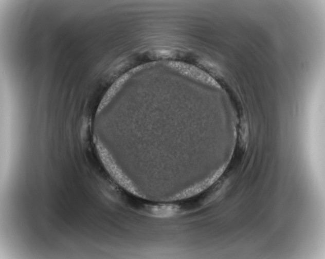 X0000085760225200704091340