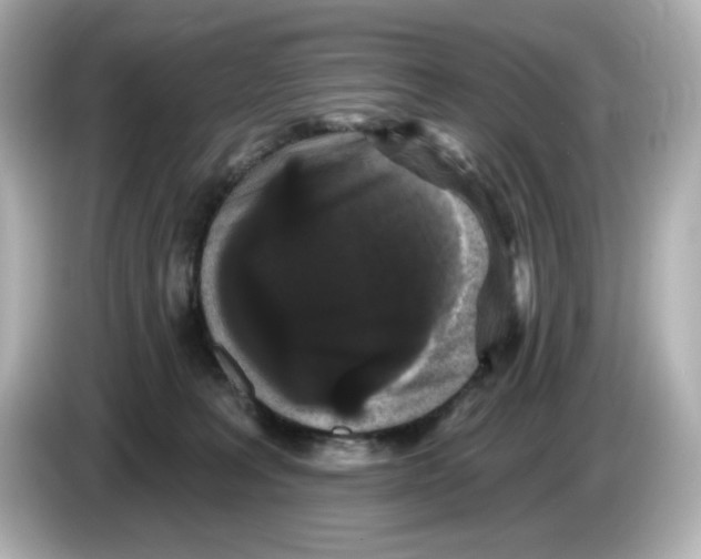 X0000085760227200704091340