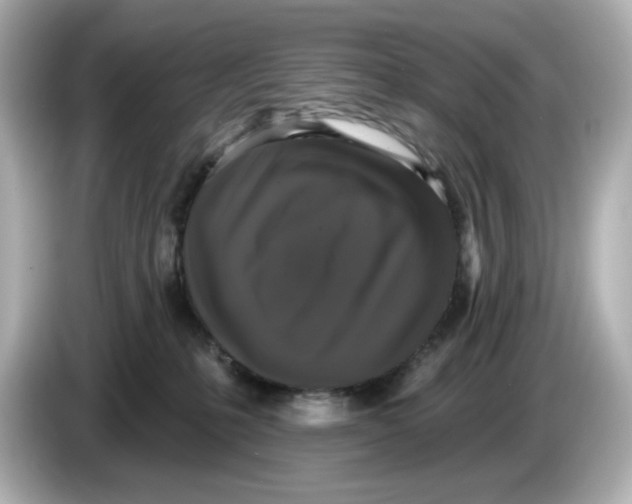 X0000085760231200704091340